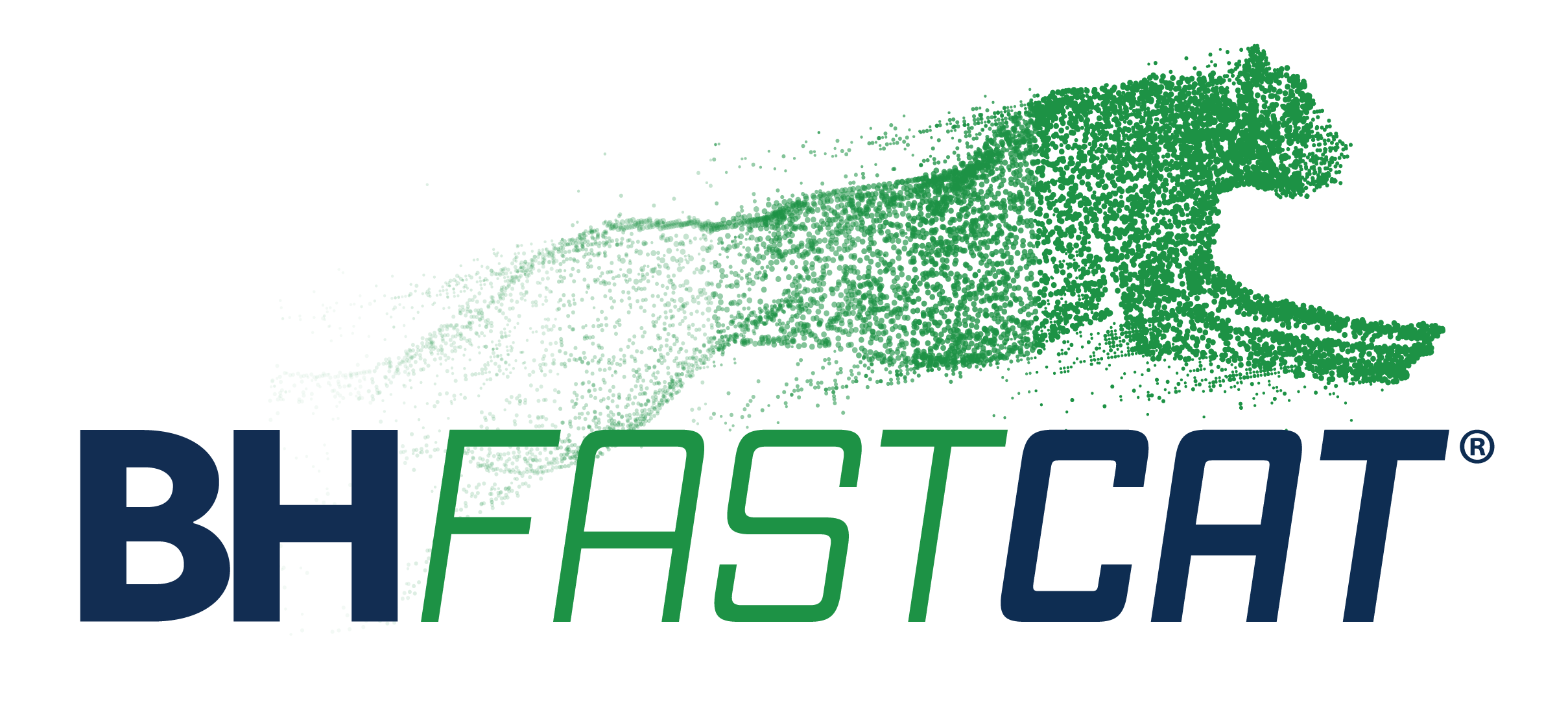 fastcat-logo-with-cat-transparent